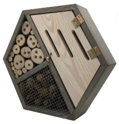 Daktuin Beezzz 'n Bio Daktuinpakket -Coppelmans Verkoop beezzz n bio daktuinpakket 2156x2240 62861f3405f59 l