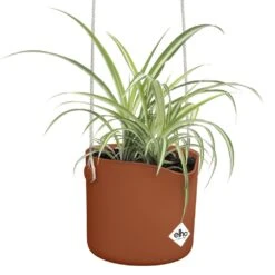 Elho B.for Swing 18 Cm Bruin -Coppelmans Verkoop elho b for swing 18 cm bruin 1000x1000 64aebb4d46d37 l