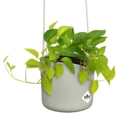 Elho B.for Swing 18 Cm Groen -Coppelmans Verkoop elho b for swing 18 cm groen 1000x1000 64aebb4901d20 l