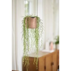 Elho B.for Swing 18 Cm Roze 17 Elho B.for Swing 18 Cm Roze -Coppelmans Verkoop elho b for swing 18 cm roze 1000x1000 64aebb450b440 l