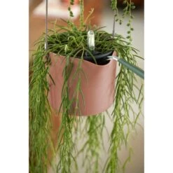 Elho B.for Swing 18 Cm Roze 19 Elho B.for Swing 18 Cm Roze -Coppelmans Verkoop elho b for swing 18 cm roze 1000x1000 64aebb45b65fe l