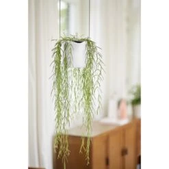 Elho B.for Swing 18 Cm Wit 17 Elho B.for Swing 18 Cm Wit -Coppelmans Verkoop elho b for swing 18 cm wit 1000x1000 64aebb40d9064 l