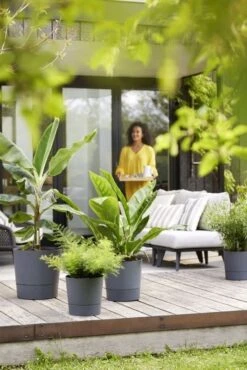 Elho Bloempot Greensense Aqua Care Rond 43cm Grijs -Coppelmans Verkoop elho bloempot greensense aqua care rond 43cm grijs 534x800 620e3d9712ebf l