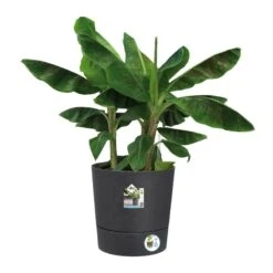 Elho Bloempot Greensense Aqua Care Rond 43cm Grijs -Coppelmans Verkoop elho bloempot greensense aqua care rond 43cm grijs 800x800 620e3d969ce20 l