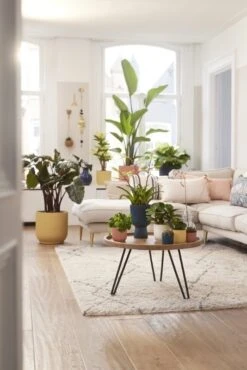 Elho Bloempot Vibes Fold Rond 30cm Geel -Coppelmans Verkoop elho bloempot vibes fold rond 30cm geel 534x800 620e3ce0788de l