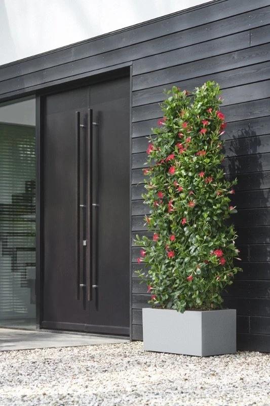 Elho Bloempot Vivo Next Lang 80cm Grijs 4 Elho Bloempot Vivo Next Lang 80cm Grijs - Afbeelding 2