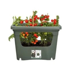 Elho Plantenbak Green Basics Stack & Grow Large Groen -Coppelmans Verkoop elho plantenbak green basics stack grow large groen 800x800 620e3d4de4622 l