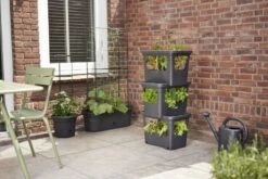 Elho Plantenbak Green Basics Stack & Grow Large Zwart -Coppelmans Verkoop elho plantenbak green basics stack grow large zwart 800x534 620e3d4f78fb3 l