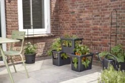 Elho Plantenbak Green Basics Stack & Grow Large Zwart -Coppelmans Verkoop elho plantenbak green basics stack grow large zwart 800x534 620e3d4fc59c1 l