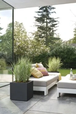 Elho Plantenbak Vivo Next Vierkant 30cm Zwart