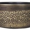 Floran Schaal Emma D24 H12.5cm Goud -Coppelmans Verkoop floran schaal emma d24 h12 5cm goud 800x517 627e57b442f40 l