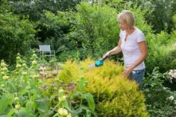 GARDENA Accu Gras- En Buxusschaar Set Accucut Li 8 GARDENA Accu Gras- En Buxusschaar Set Accucut Li -Coppelmans Verkoop gardena accu gras en buxusschaar set accucut li 1619704816 l