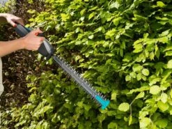 GARDENA Accu Heggenschaar EasyCut Li 9 GARDENA Accu Heggenschaar EasyCut Li -Coppelmans Verkoop gardena accu heggenschaar easycut li 1619704830 1 l