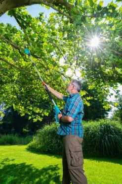 GARDENA Accu Telescopische Snoeizaag TCS 20/18 P4A Set -Coppelmans Verkoop gardena accu telescopische snoeizaag tcs 20 18 p4a set 1000x1500 640af32266025 l