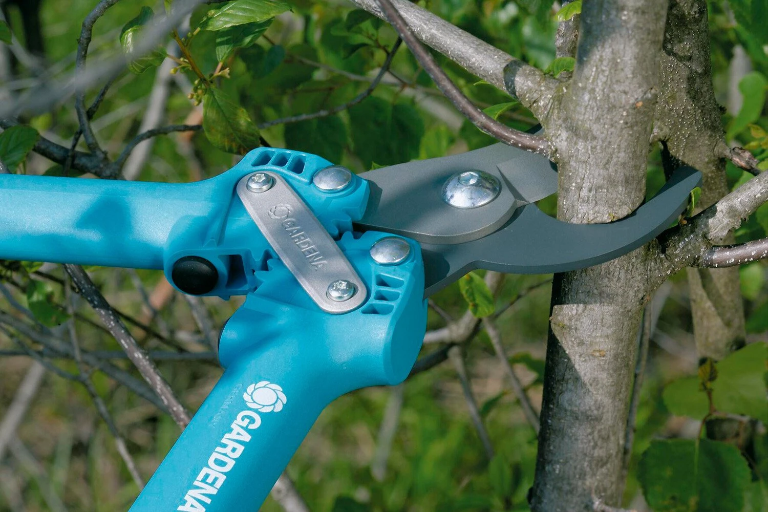 GARDENA Comfort Takkenschaar 500 Bl 6 GARDENA Comfort Takkenschaar 500 Bl - Afbeelding 4