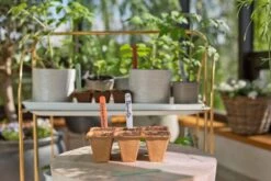 GARDENA FreshCut Set -Coppelmans Verkoop gardena freshcut set 1500x1000 640af81aaa70a l