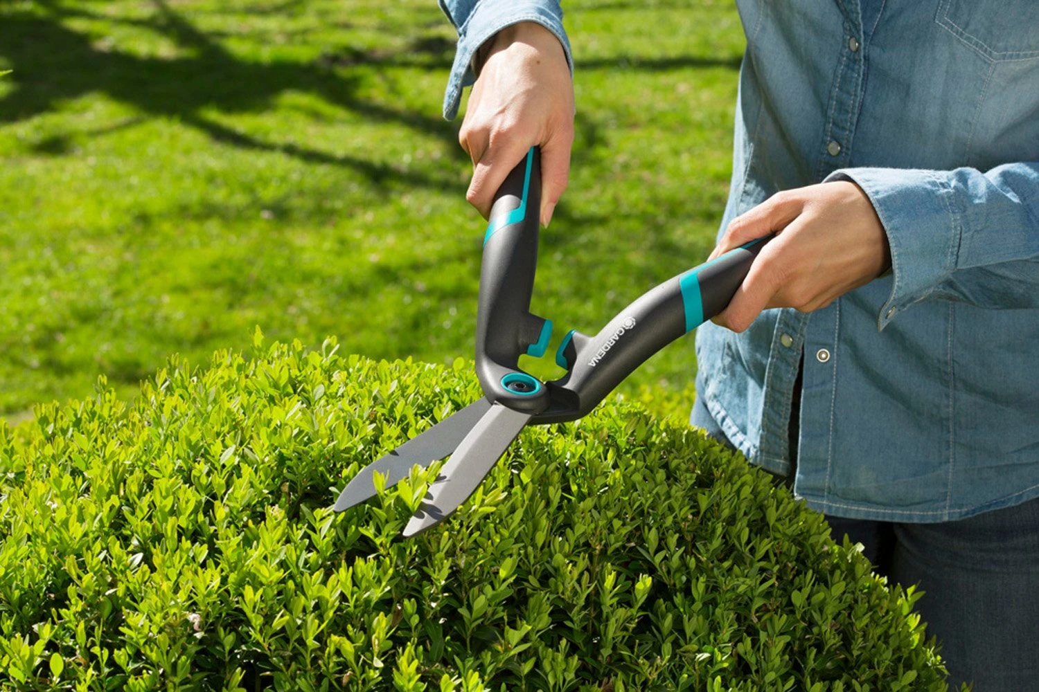 GARDENA PrecisionCut Buxusschaar 5 GARDENA PrecisionCut Buxusschaar - Afbeelding 3