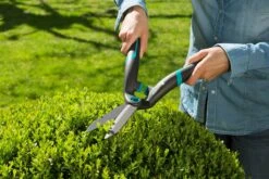 GARDENA PrecisionCut Heggenschaar -Coppelmans Verkoop gardena precisioncut heggenschaar 1500x1000 640af7caf009e l