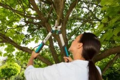 GARDENA Takkenschaar EasyCut 500 B 7 GARDENA Takkenschaar EasyCut 500 B -Coppelmans Verkoop gardena takkenschaar easycut 500 b 1500x1000 640af7e5d4f80 l