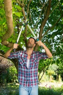 GARDENA Takkenschaar EasyCut 680 B 8 GARDENA Takkenschaar EasyCut 680 B -Coppelmans Verkoop gardena takkenschaar easycut 680 b 1000x1500 640af7e944a14 l