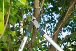 GARDENA Takkenschaar EnergyCut 750 B 7 GARDENA Takkenschaar EnergyCut 750 B -Coppelmans Verkoop gardena takkenschaar energycut 750 b 1500x1000 640af848a316f l