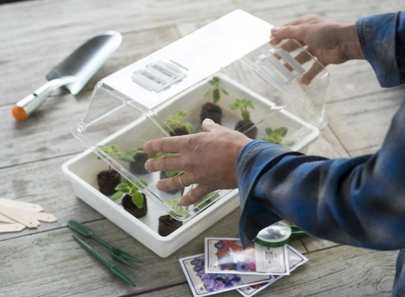 Nature Deksel Voor Kweekbak 55x31cm 6 Nature Deksel Voor Kweekbak 55x31cm - Afbeelding 4