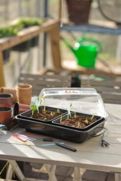 Nature Kweekkas Verwarmd 38x24cm 10 Nature Kweekkas Verwarmd 38x24cm -Coppelmans Verkoop nature kweekkas verwarmd 38x24cm 534x800 6214a026e40ab l