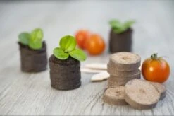 Nature Turftabletten 48st 8 Nature Turftabletten 48st -Coppelmans Verkoop nature turftabletten 48st 800x532 6214a01453d91 l