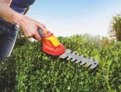 WOLF-Garten Accubuxus Finesse LI-ION PW 30B 7 WOLF-Garten Accubuxus Finesse LI-ION PW 30B -Coppelmans Verkoop wolf garten accubuxus finesse li ion pw 30b 1619177776 1 l